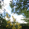 IMG_1360907