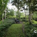 IMG_1360908