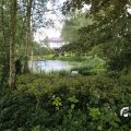 IMG_1360911