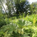 IMG_1360914