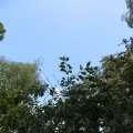 IMG_1360921