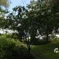 IMG_1360922