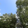 IMG_1360925