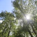IMG_1360926
