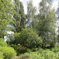 IMG_1360930