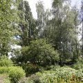 IMG_1360931