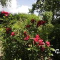 IMG_1360938