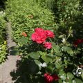IMG_1360940