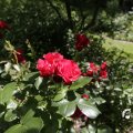 IMG_1360941