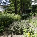 IMG_1360943