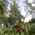 IMG_1360947