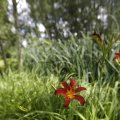 IMG_1360948