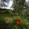 IMG_1360949