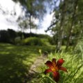 IMG_1360950
