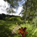 IMG_1360951