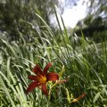 IMG_1360952