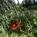 IMG_1360953