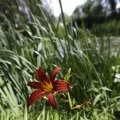 IMG_1360954
