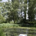 IMG_1360969