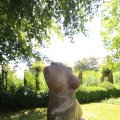 IMG_1360971