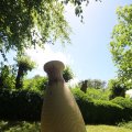 IMG_1360975