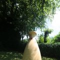 IMG_1360976