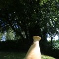 IMG_1360977