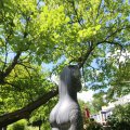 IMG_1360978