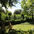 IMG_1360984
