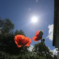 IMG_1360992