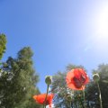 IMG_1360997