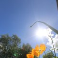 IMG_1361001