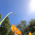 IMG_1361003