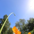 IMG_1361004