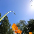 IMG_1361005