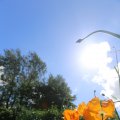 IMG_1361006