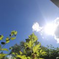 IMG_1361015
