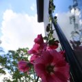 IMG_1361017