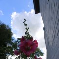 IMG_1361018