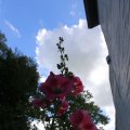 IMG_1361019