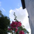 IMG_1361020