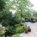 IMG_1361026