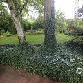 IMG_1361030