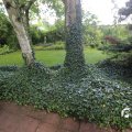 IMG_1361031