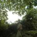 IMG_1361037