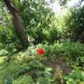 IMG_1361038