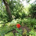 IMG_1361039