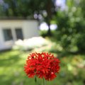 IMG_1361044