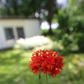 IMG_1361045