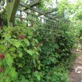 IMG_1361048